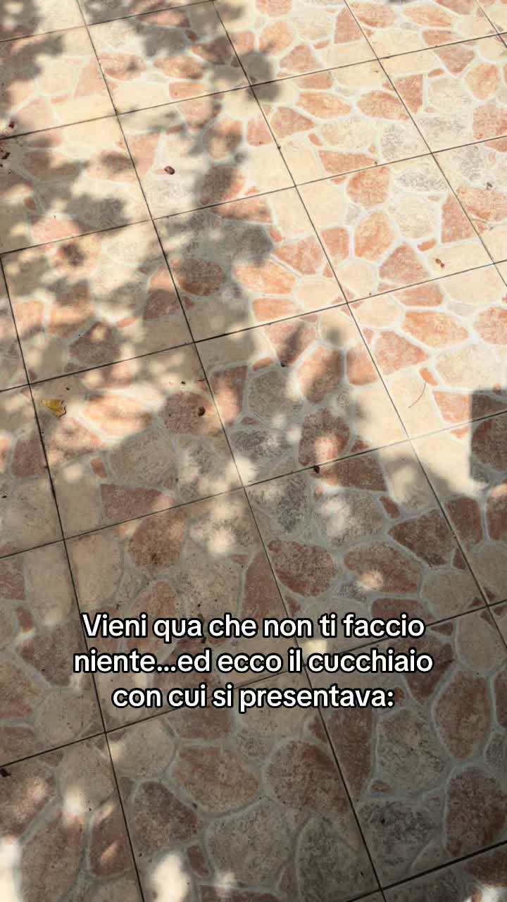 @Brigaele