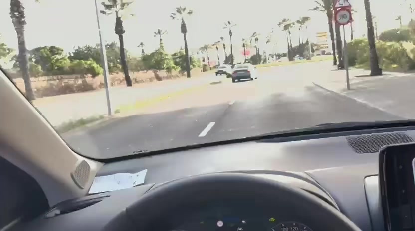 @Hitanopablo23🦁