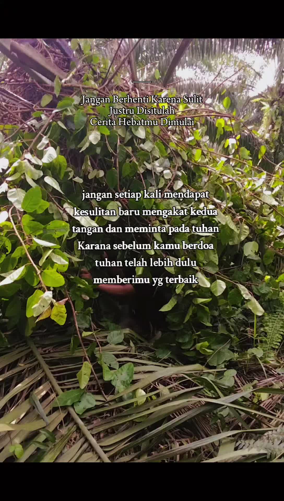 @rafkha461