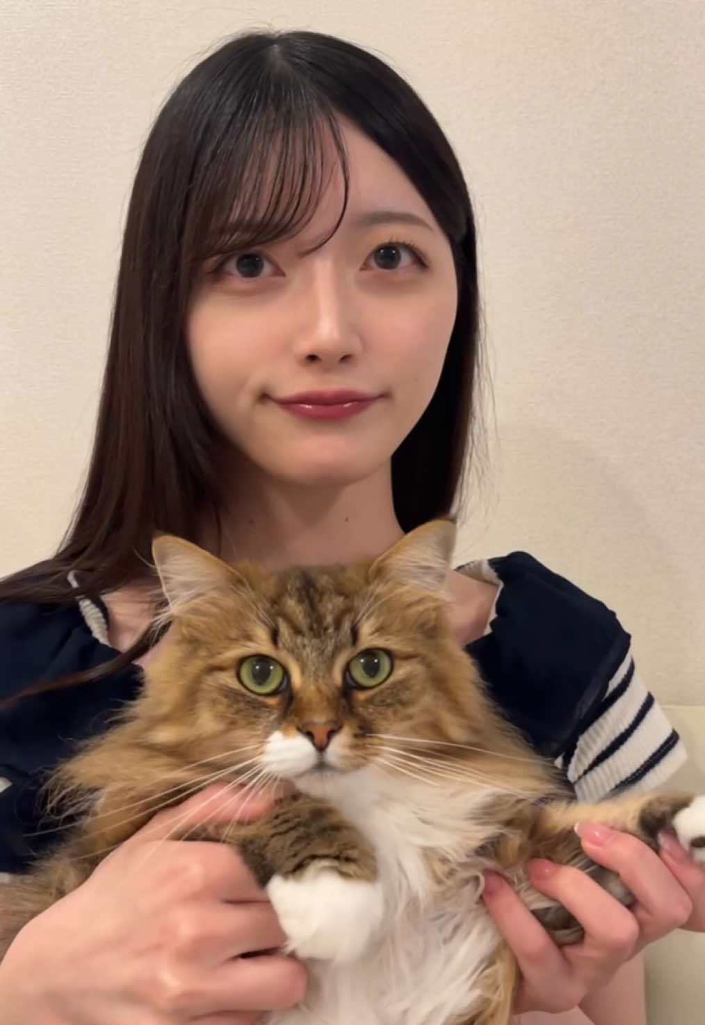 @ｲｽﾞﾐ