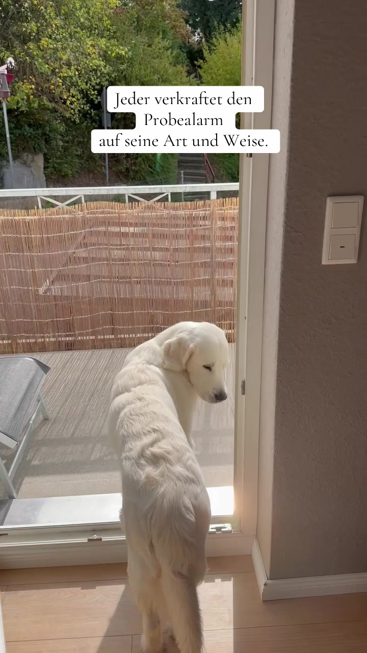 @Miss Ellie The Golden 🤍
