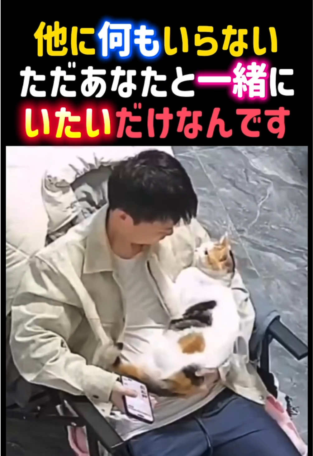 @動物癒し動画♡ animal cute