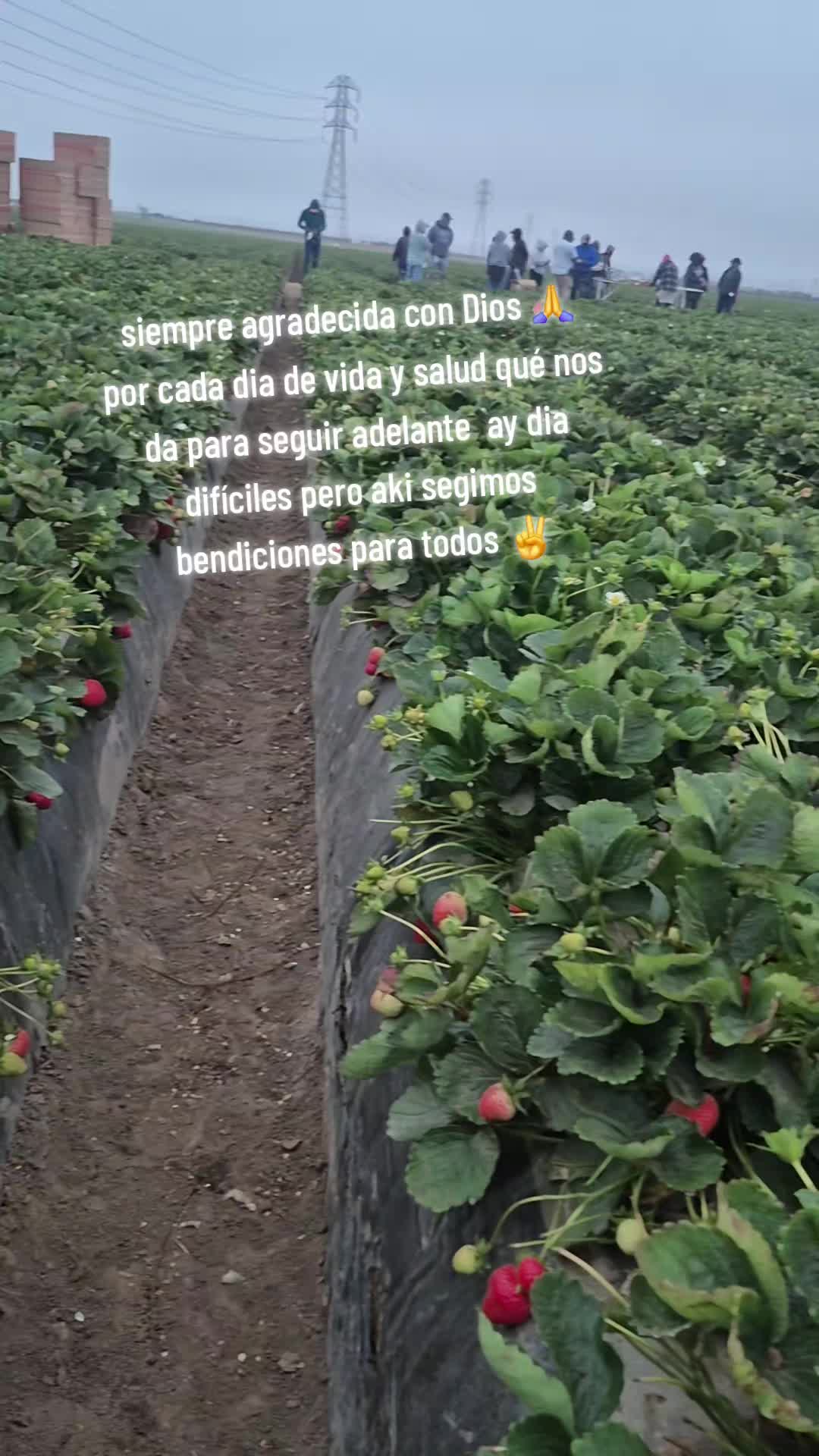 @💙🖤🍀🦋Camarillo Ad🍀💙🖤