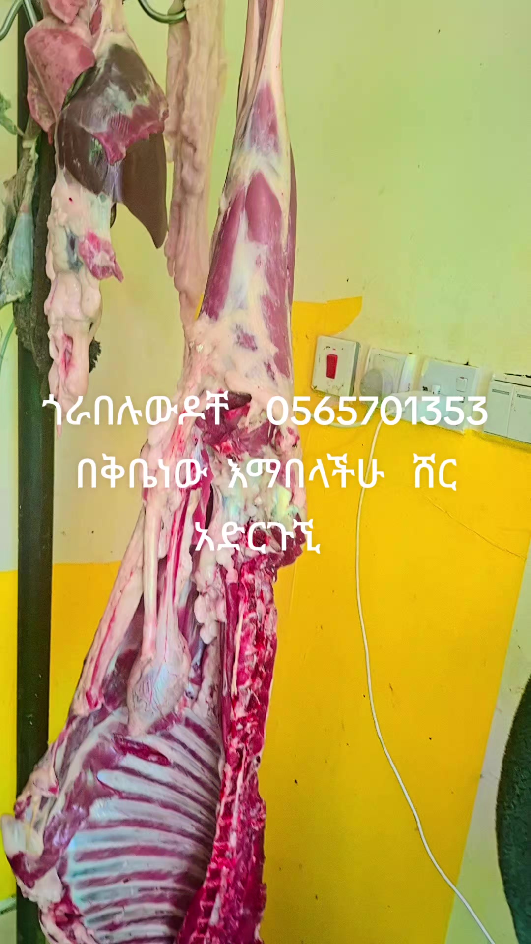 @ለማ ምግብ ቤት አድራሻ ጎይዛ