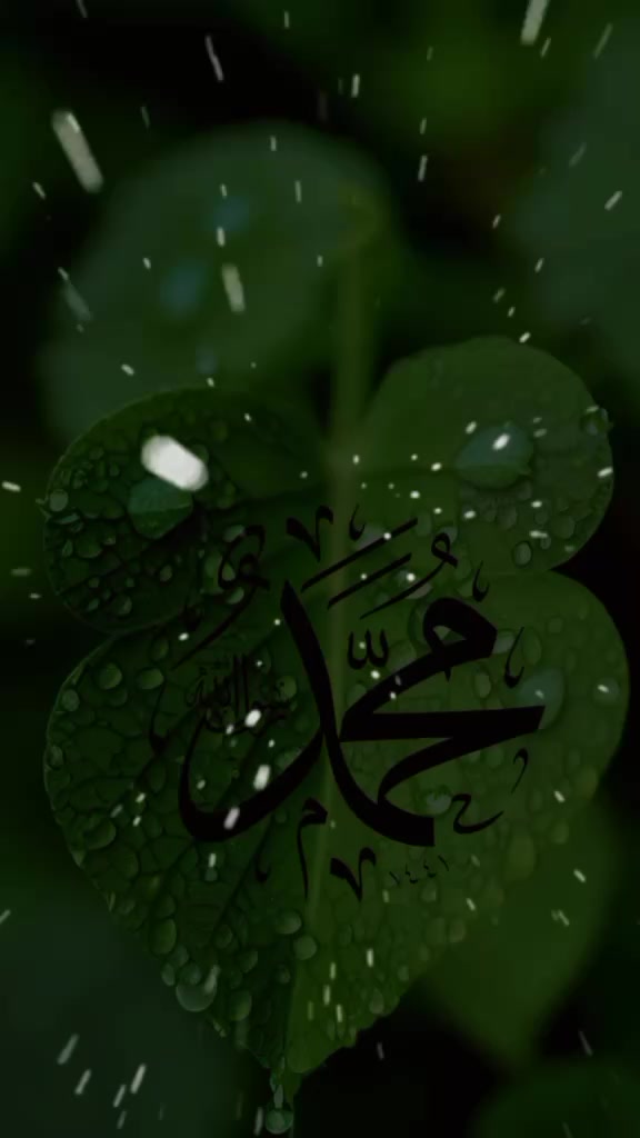 @rihanMalik8r
