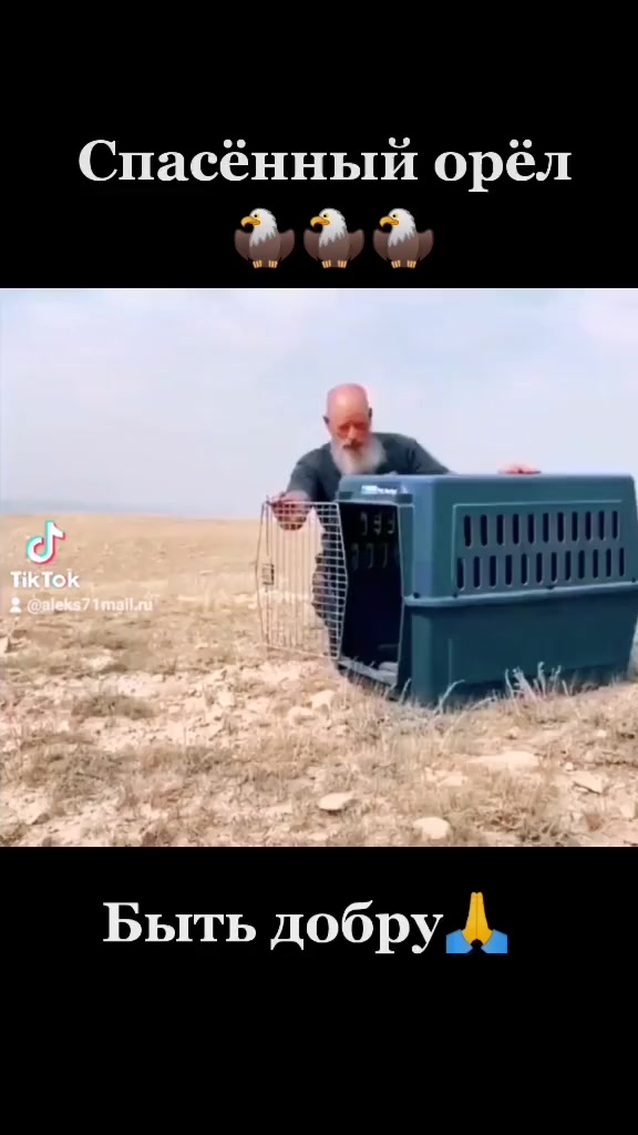 @Александр Олегович ✌️😎