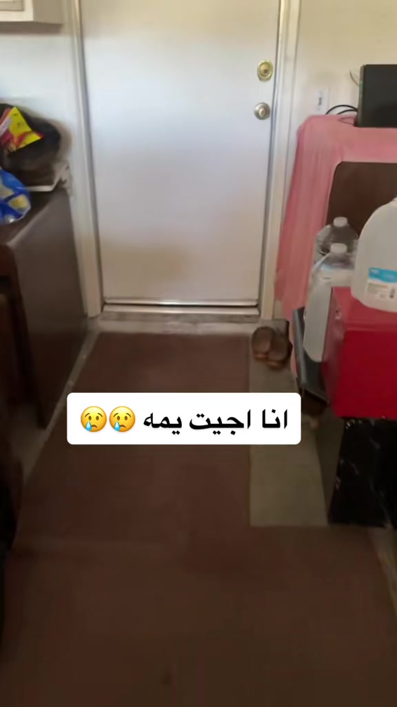 @safeer_elmansaf اياد وشمعه