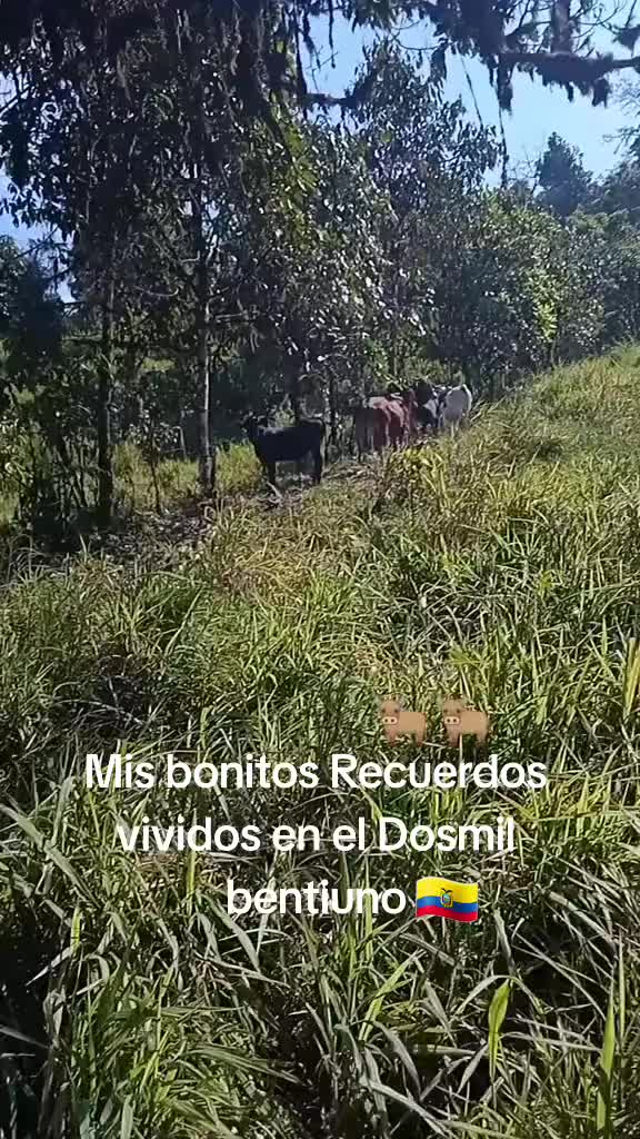 @tobias lucintuña