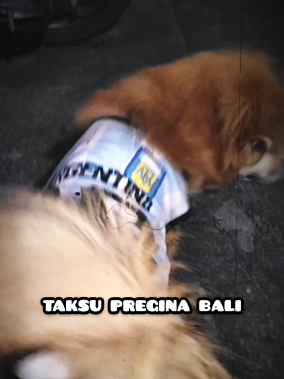 @TAKSU PREGINA BALI