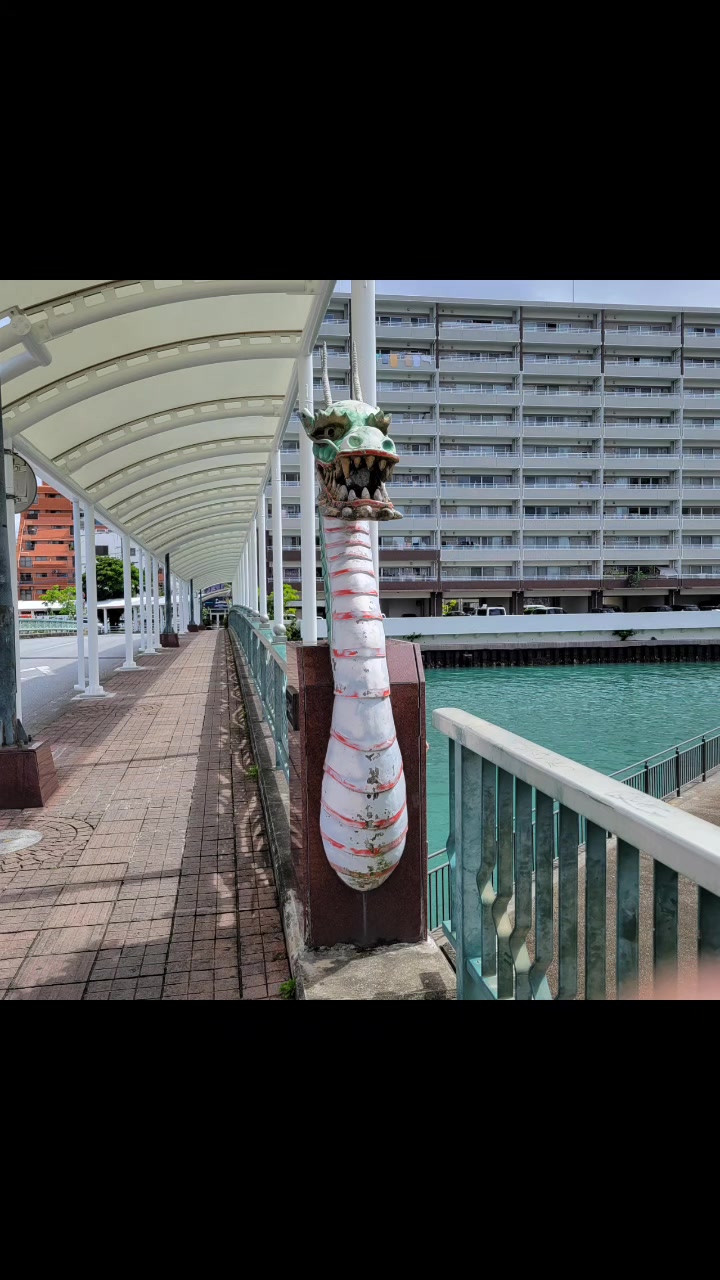 @dyortv78kl8e自由に明るくのびのびと