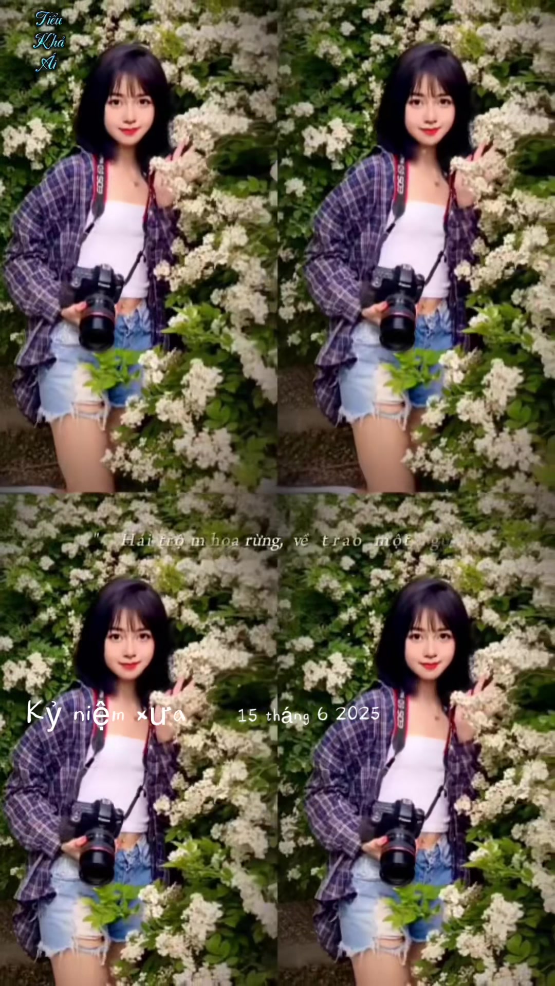 @𝕋𝕀Ể𝕌 𝕂ℍẢ &Aacute;𝕀🍁小可爱🍁