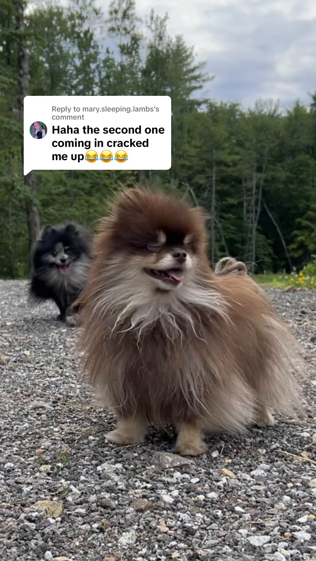 @Rooello