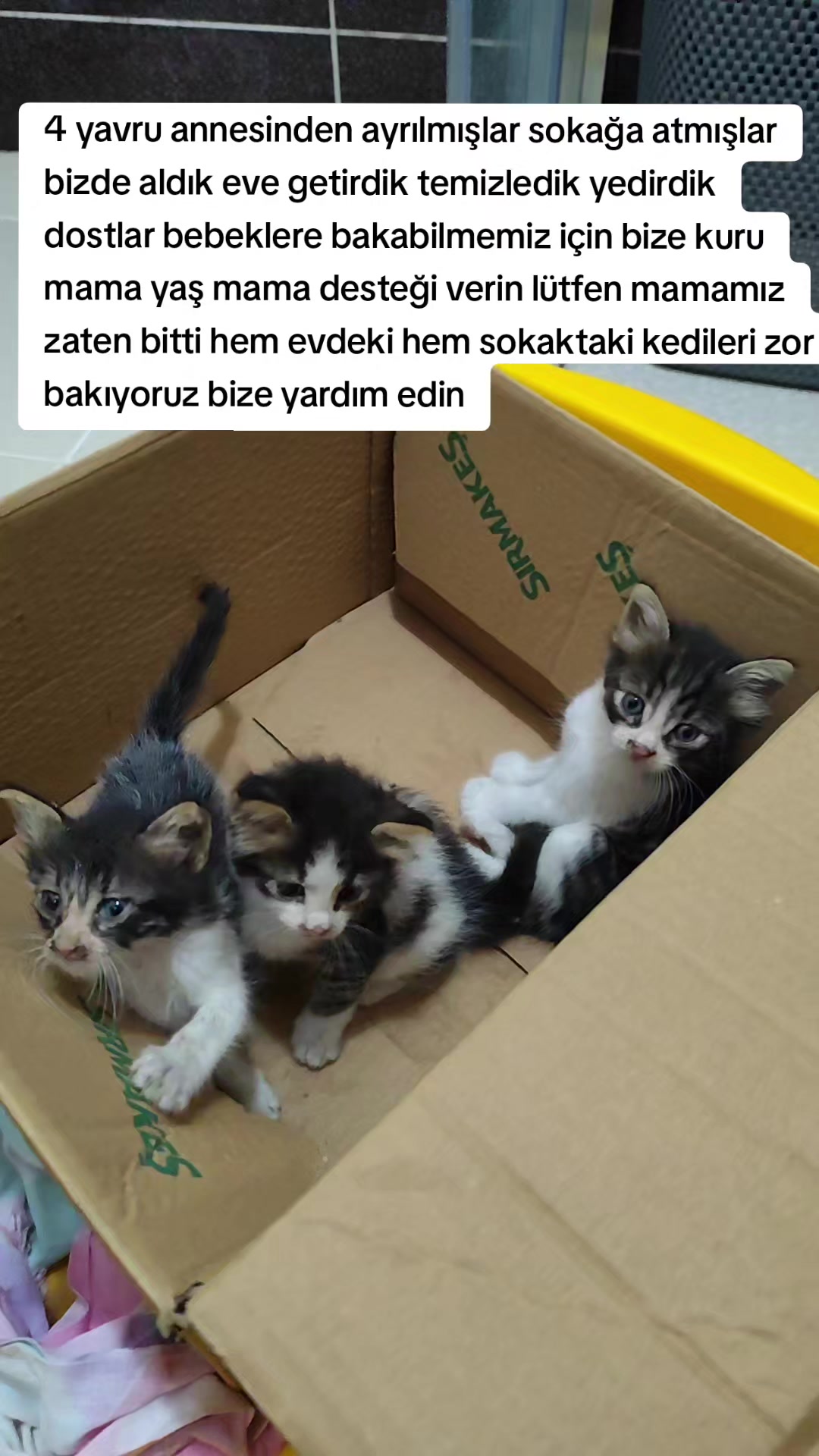 @@kedisizevolmaz