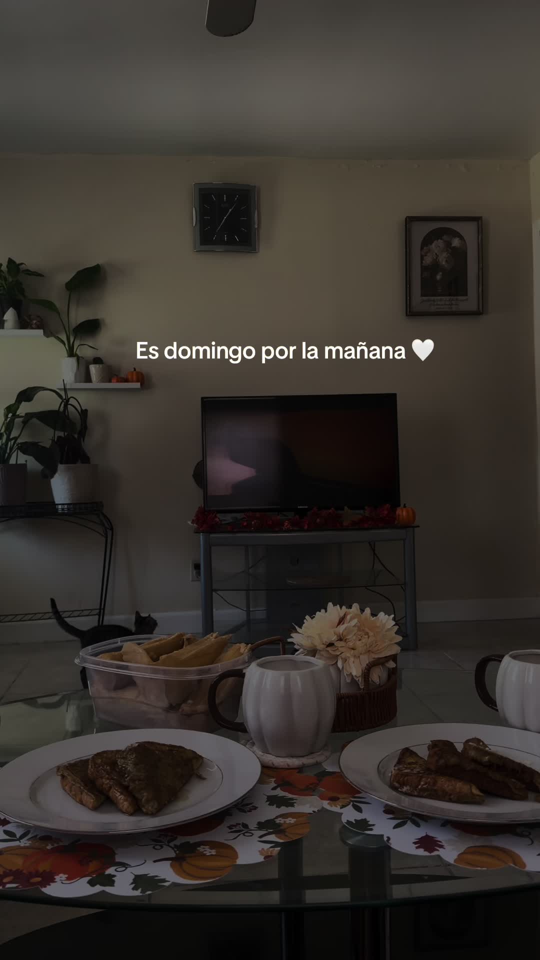 @Esme 🍯