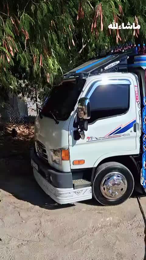@موسى بلوشي