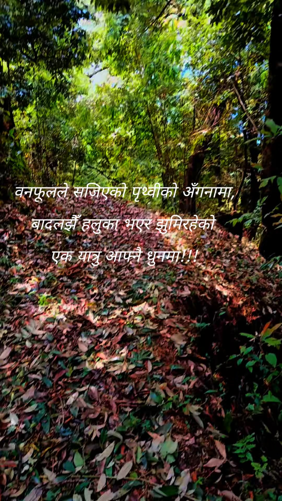@Queen of Himalayas