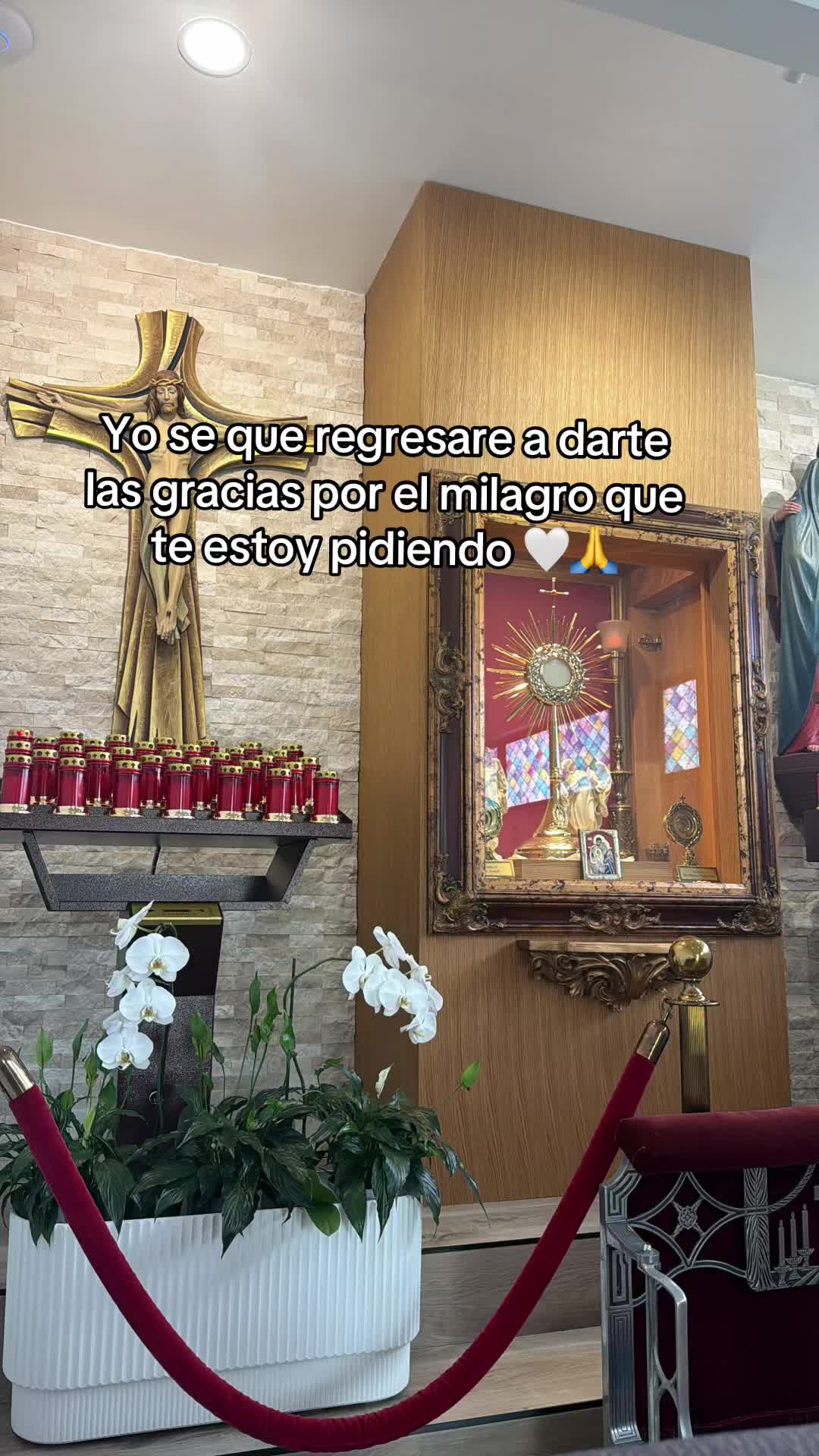 @🌸Emperatriz 🌸