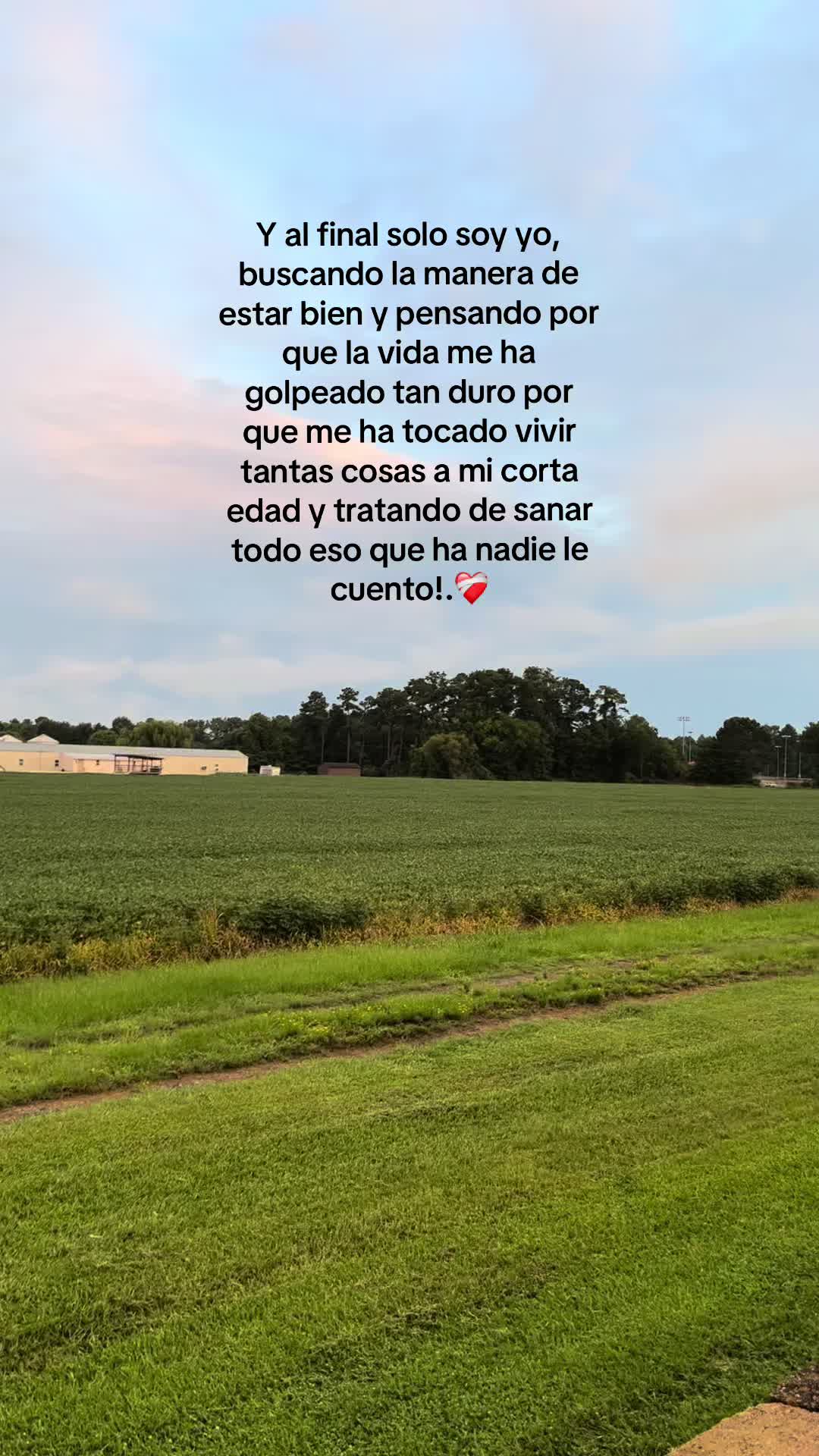 @💗✦ 𝓒𝓱𝓮𝓵𝔂 ✦🎀