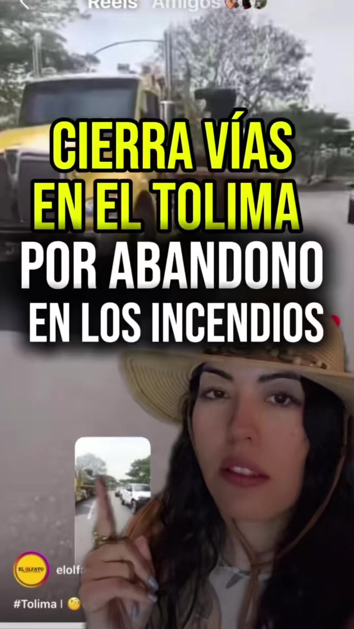 @luisabohorquezr