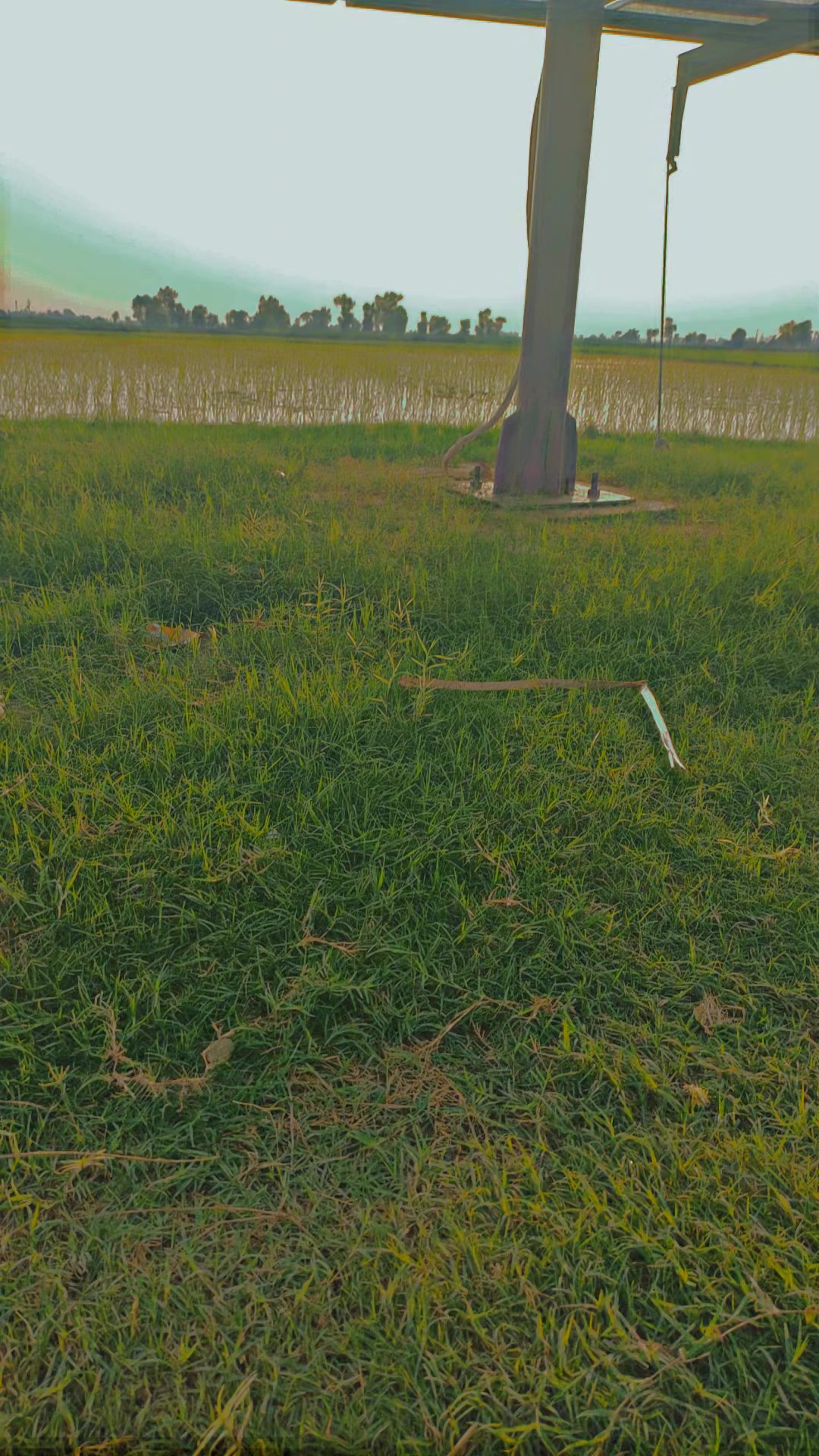 @فارمنگ 👳🏾🌾
