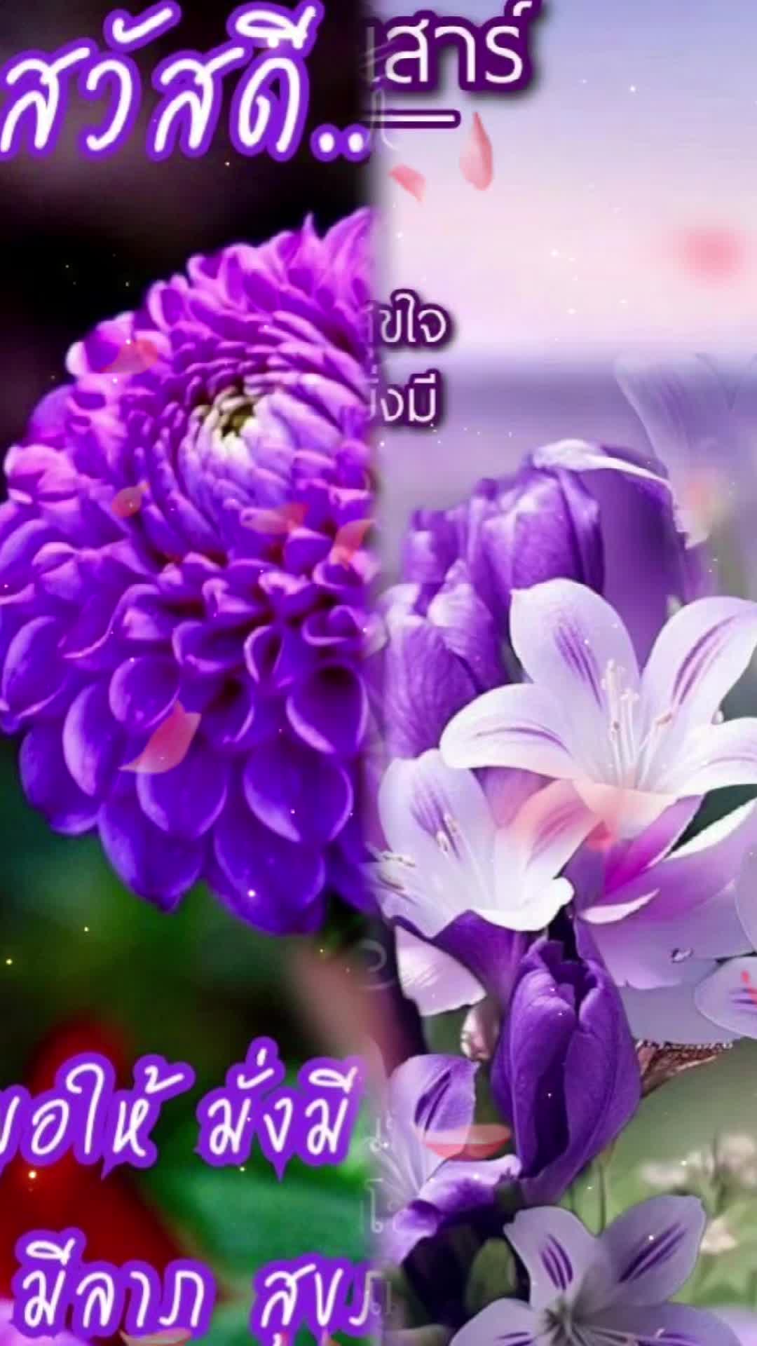 @Orasa mokkhdksoongg