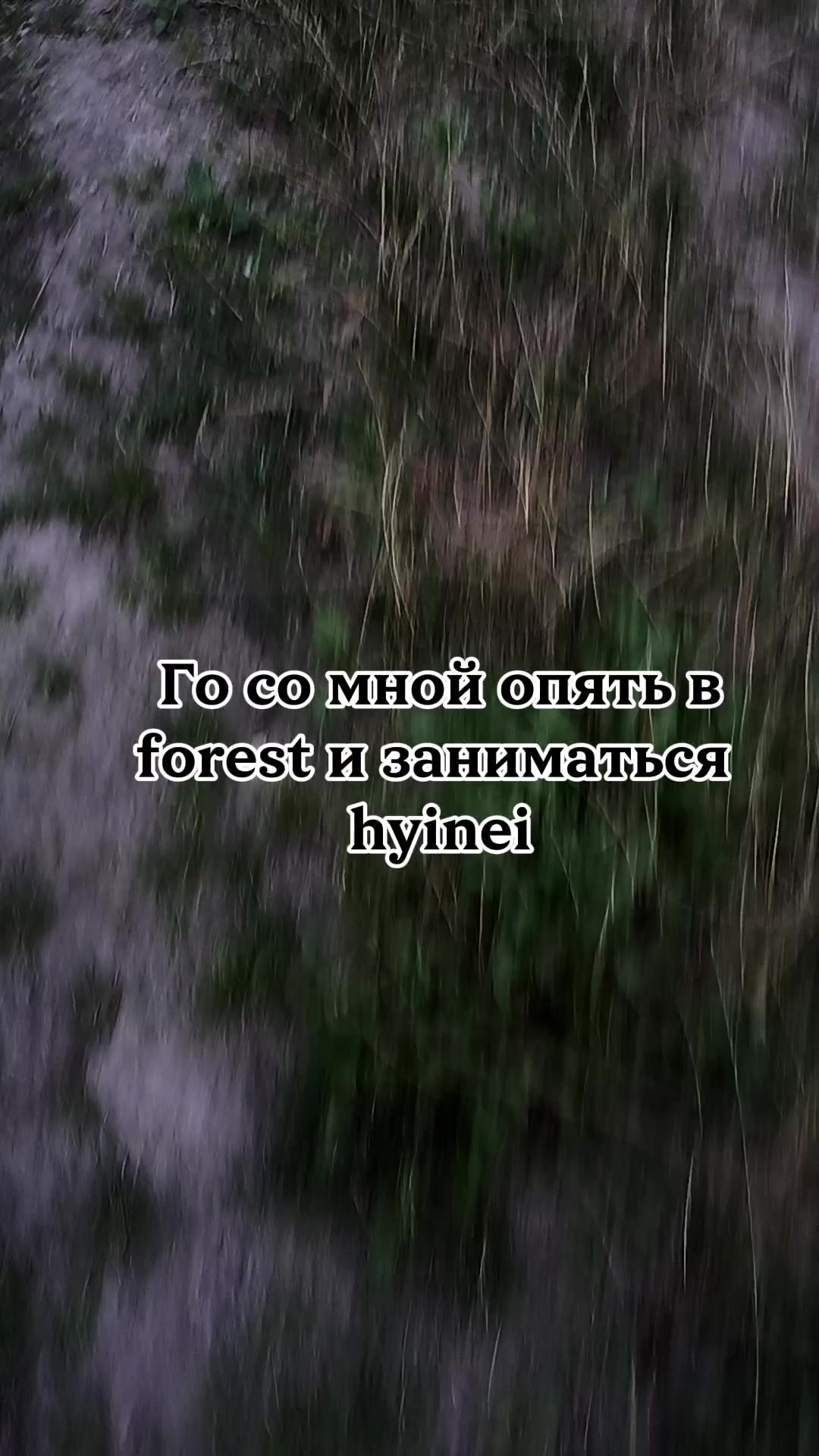 @✞🐈&zwj;⬛𝔅𝔩𝔞𝔠𝔨𝔦𝔢🌲⛤