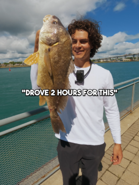 @Stef Fish