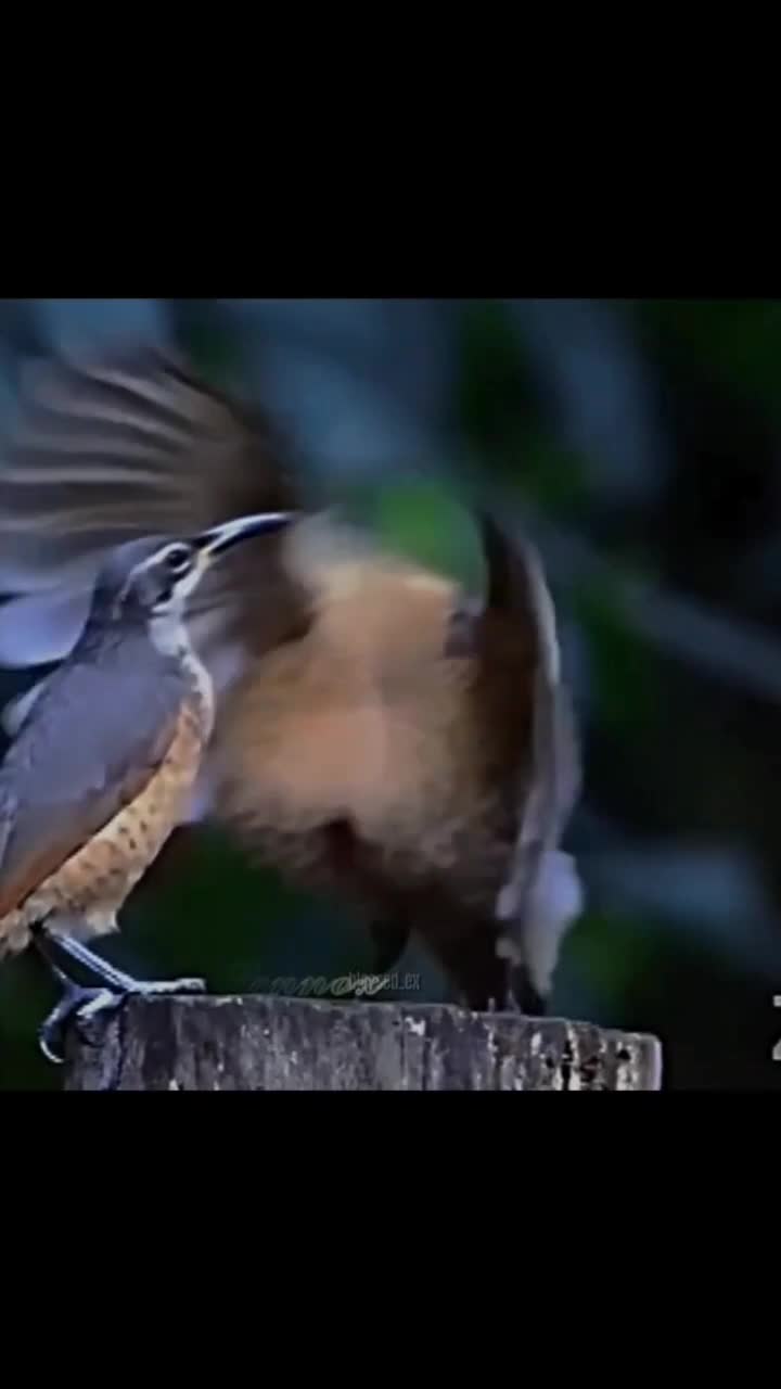 @𝕷𝖊𝖓𝖓𝖔𝖝