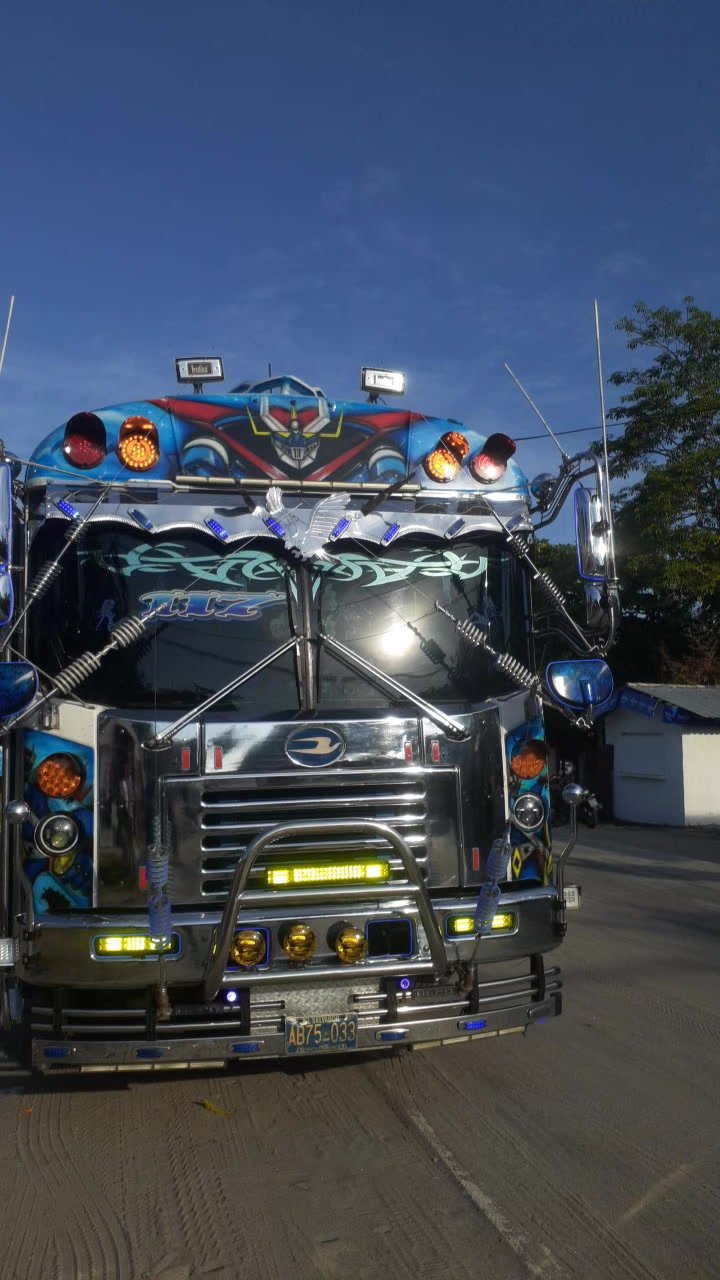 @buses elegantes 503