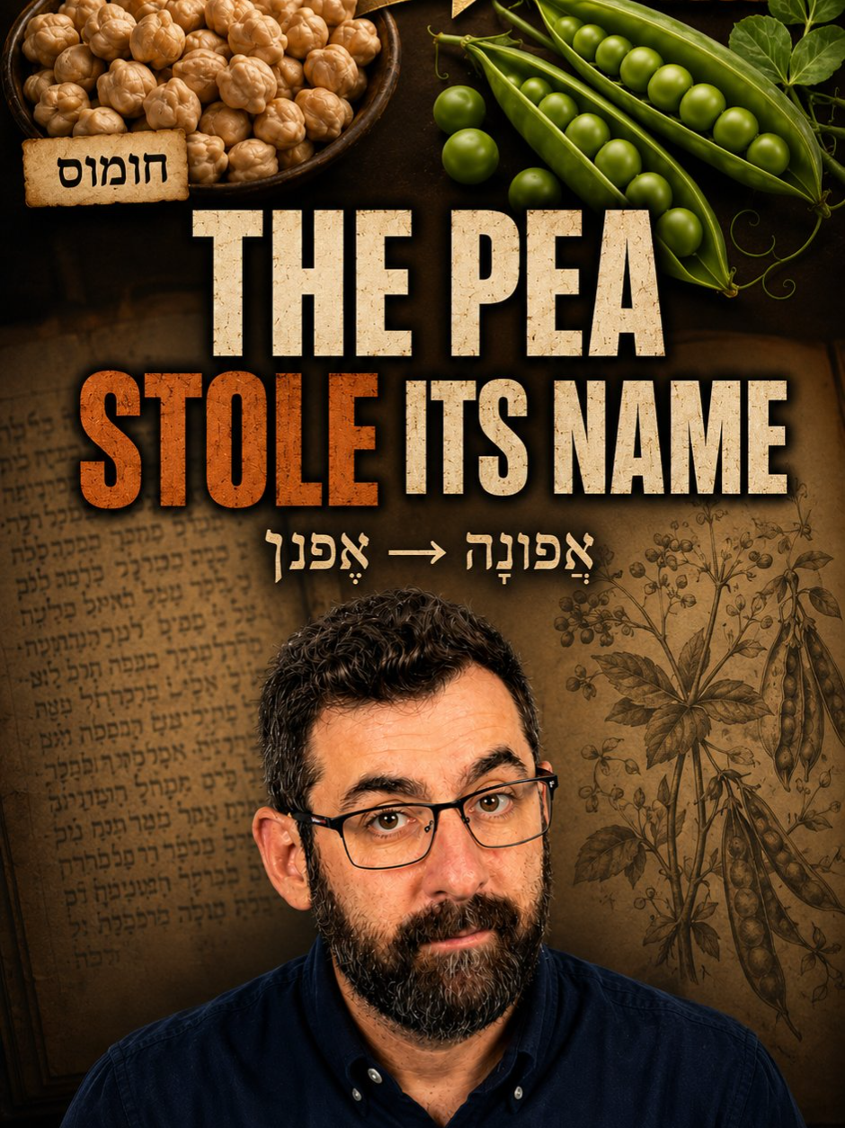 @Elon Gilad