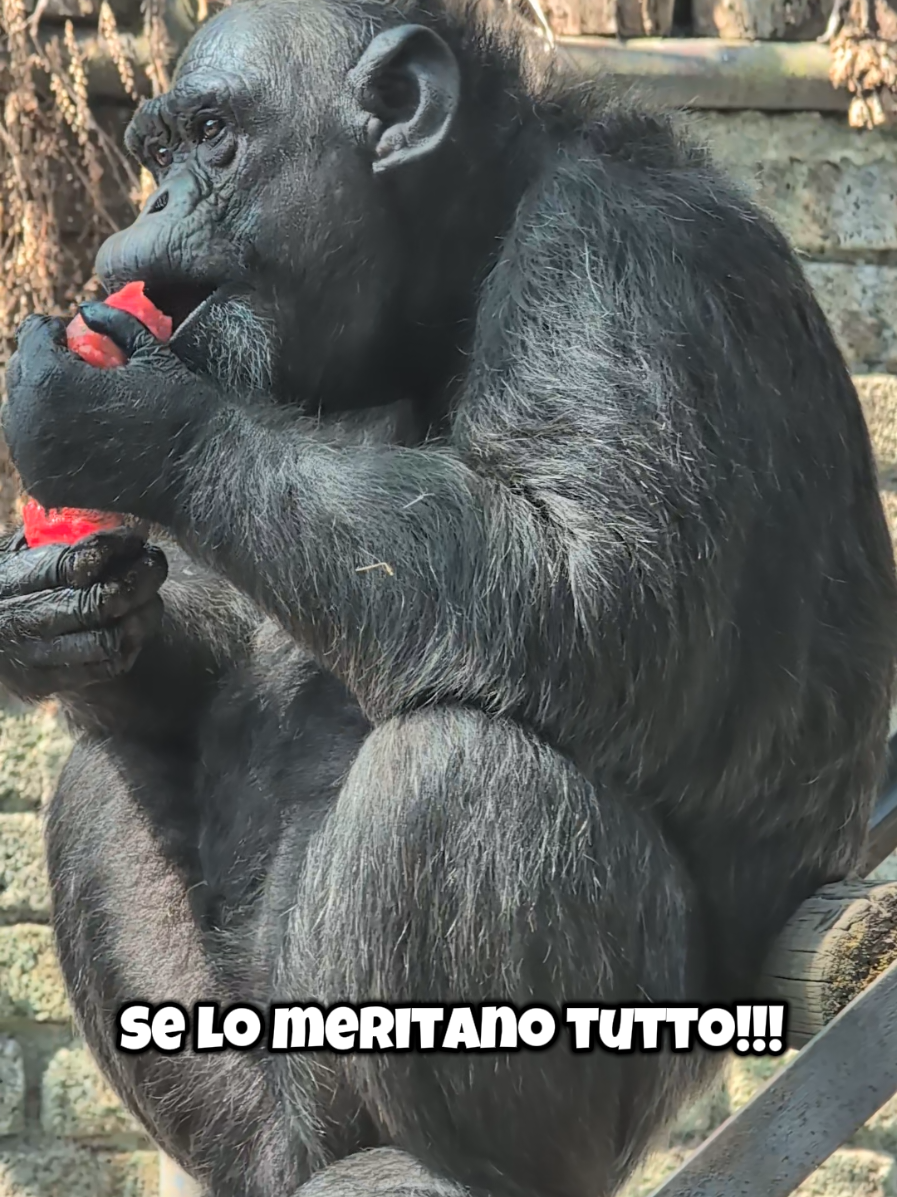 @Parco Zoo delle Star
