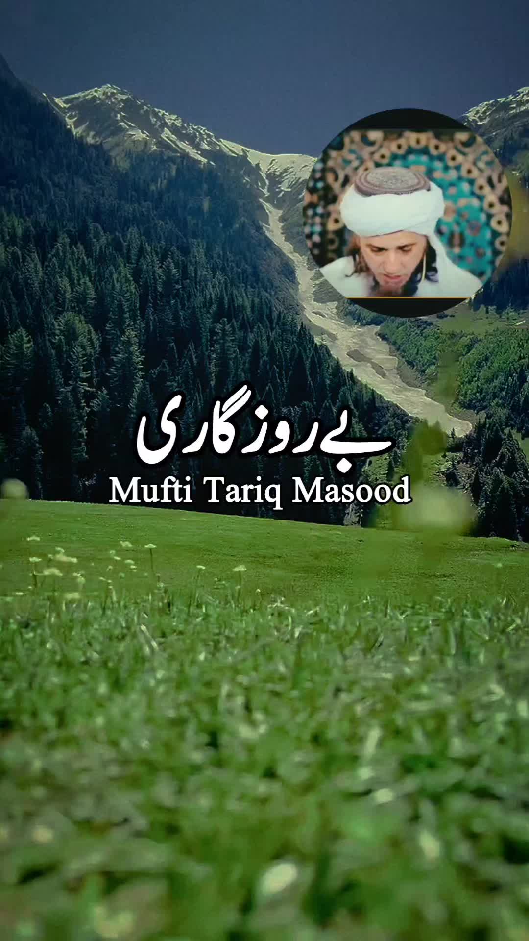 @zulfi khan