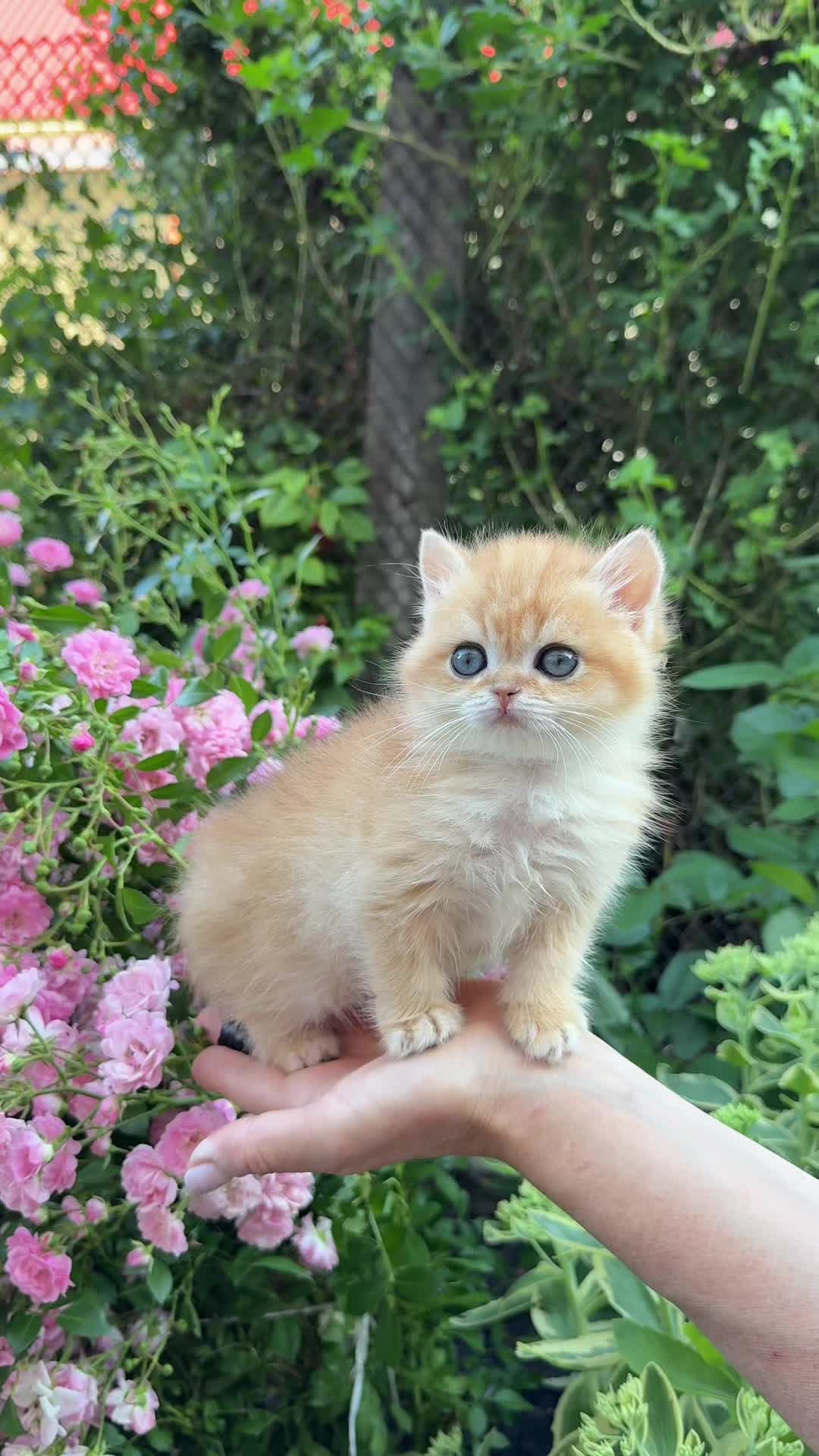 @Анастасия