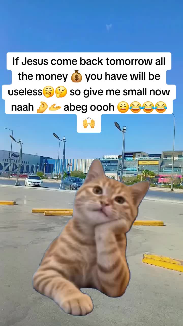 @Miss Vibez ๐ค๐๐