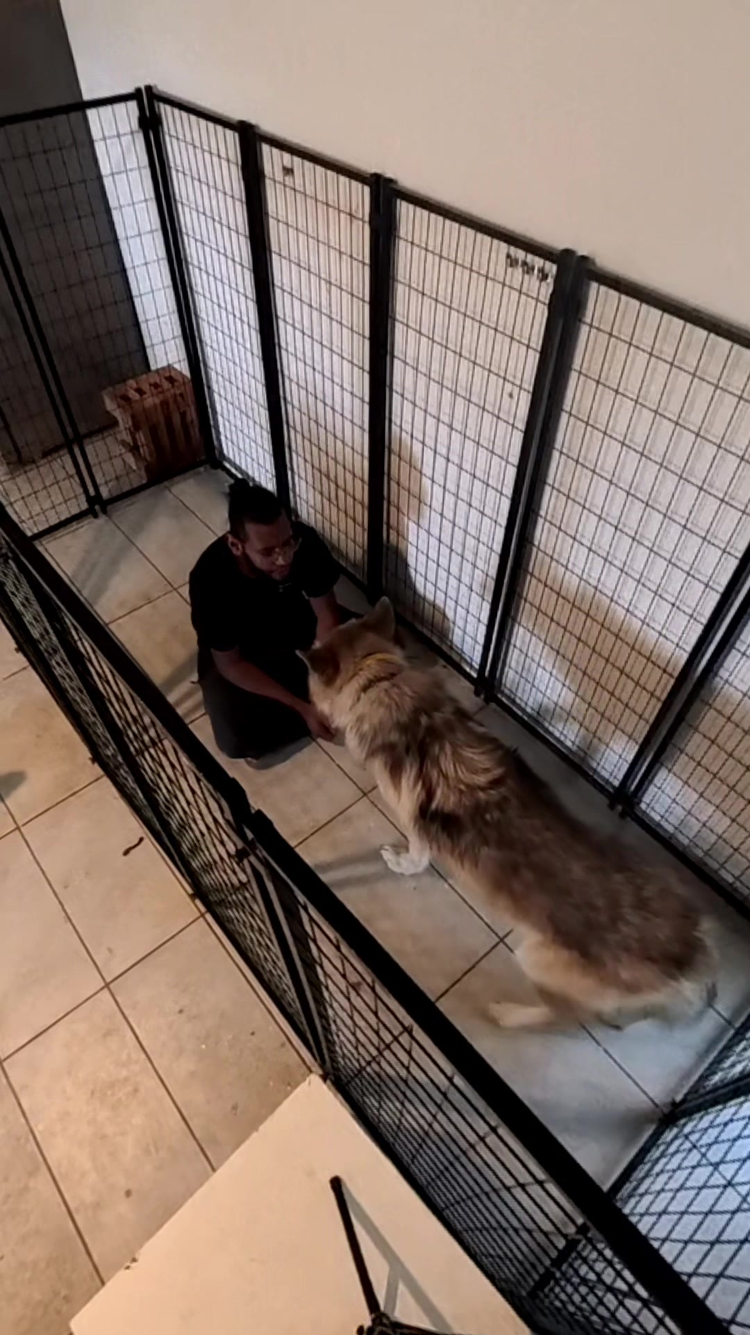 @Neko, Tokahli and Bear