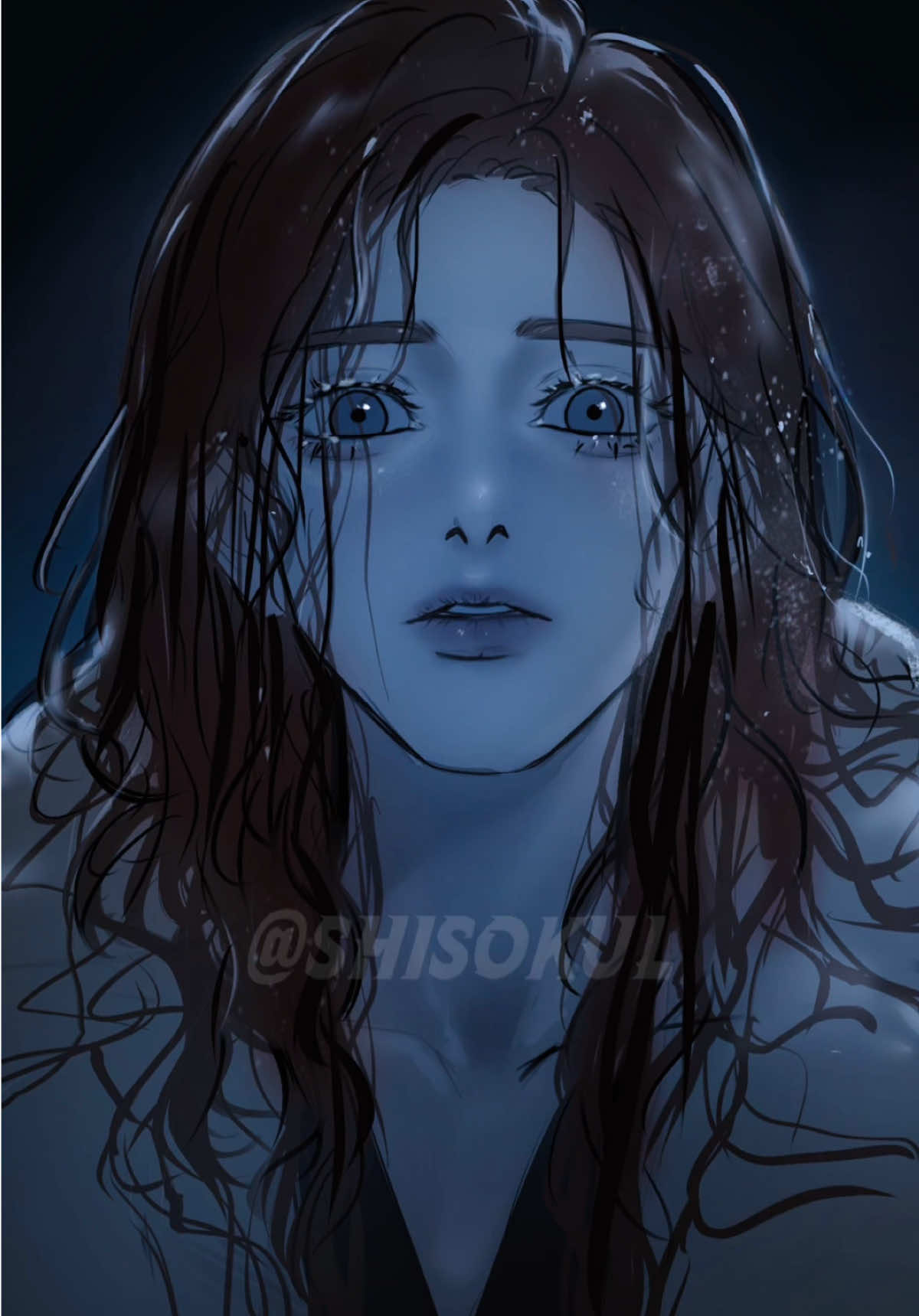 @shisokul