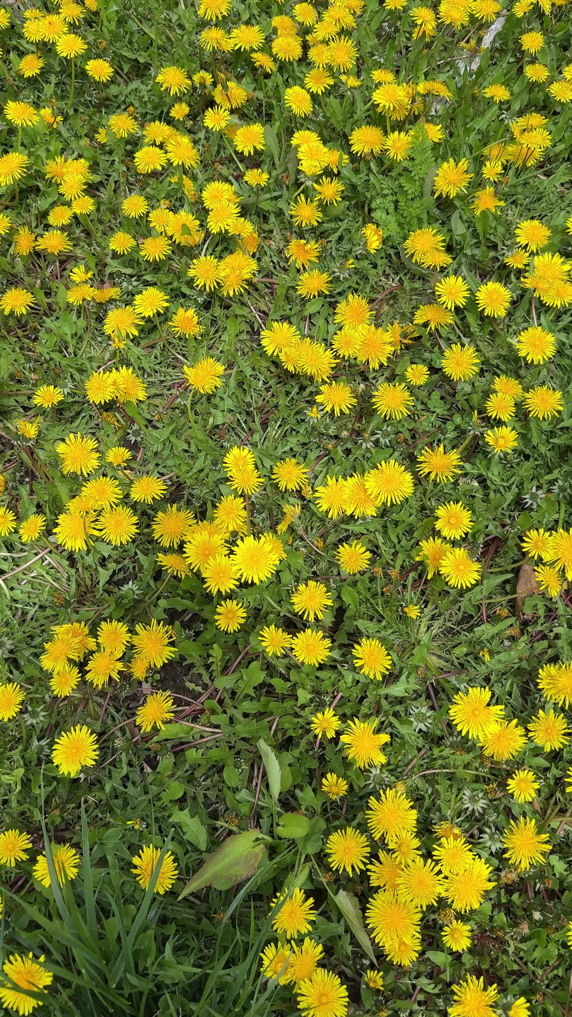 @Sathi