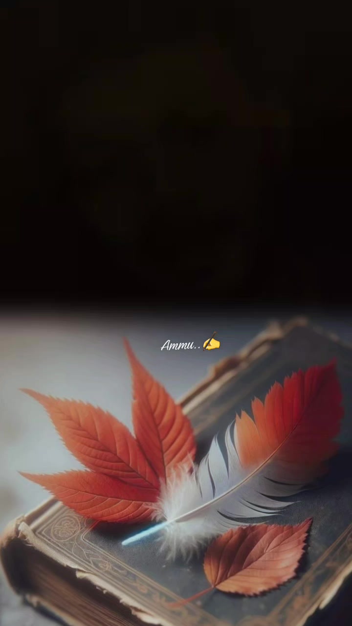 @☆꧁✬◦&deg;˚&deg;◦. 𝓐𝓶𝓶𝓾.◦&deg;˚&deg;◦✬꧂☆