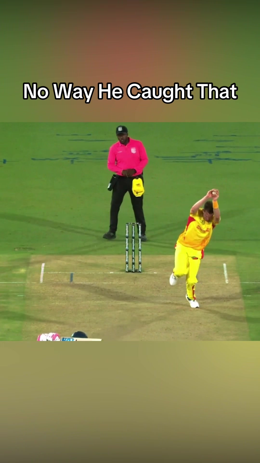 @That's Cricket