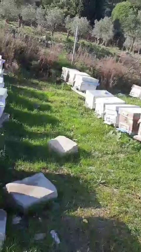 @MKA.1283🧑🎓🇹🇷
