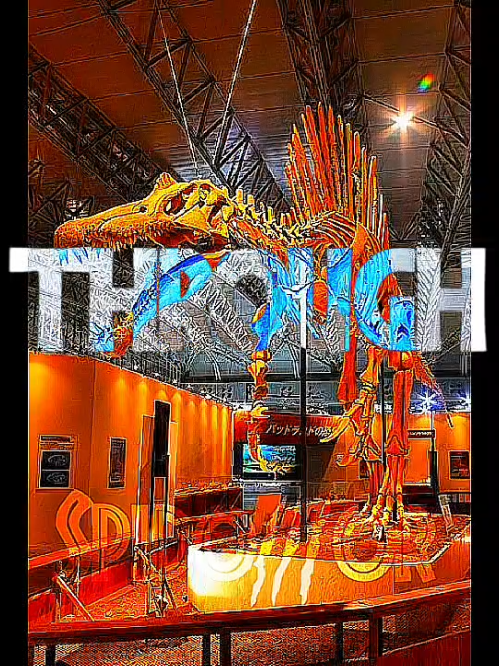 @S҉P҉I҉D҉O҉3҉O҉R҉