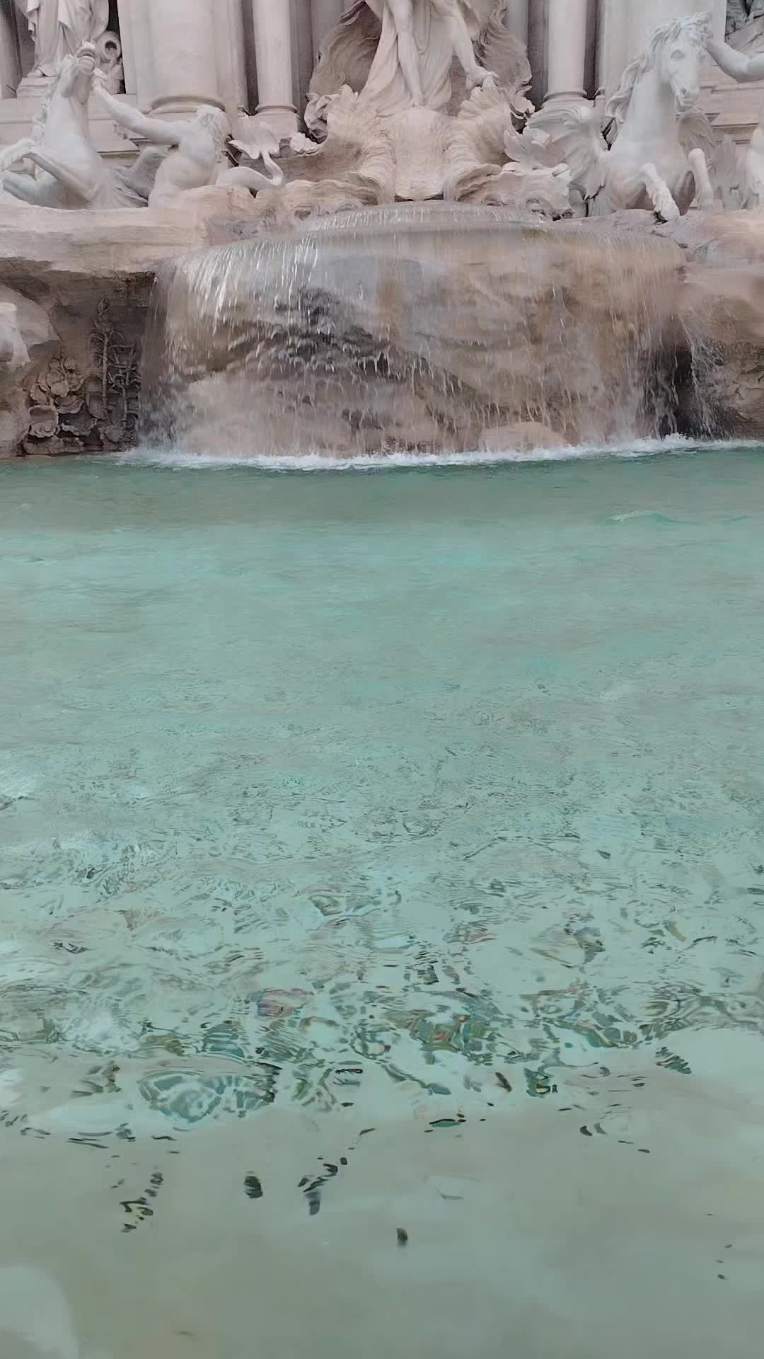 @Ervina Musaraj