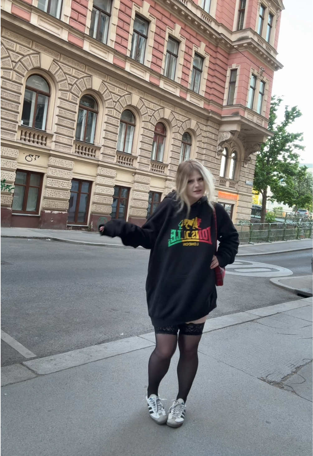 @софа котик