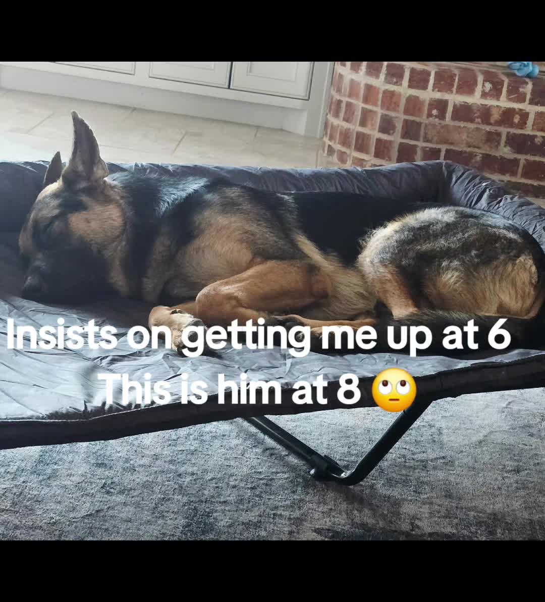 @DexterAndMichael