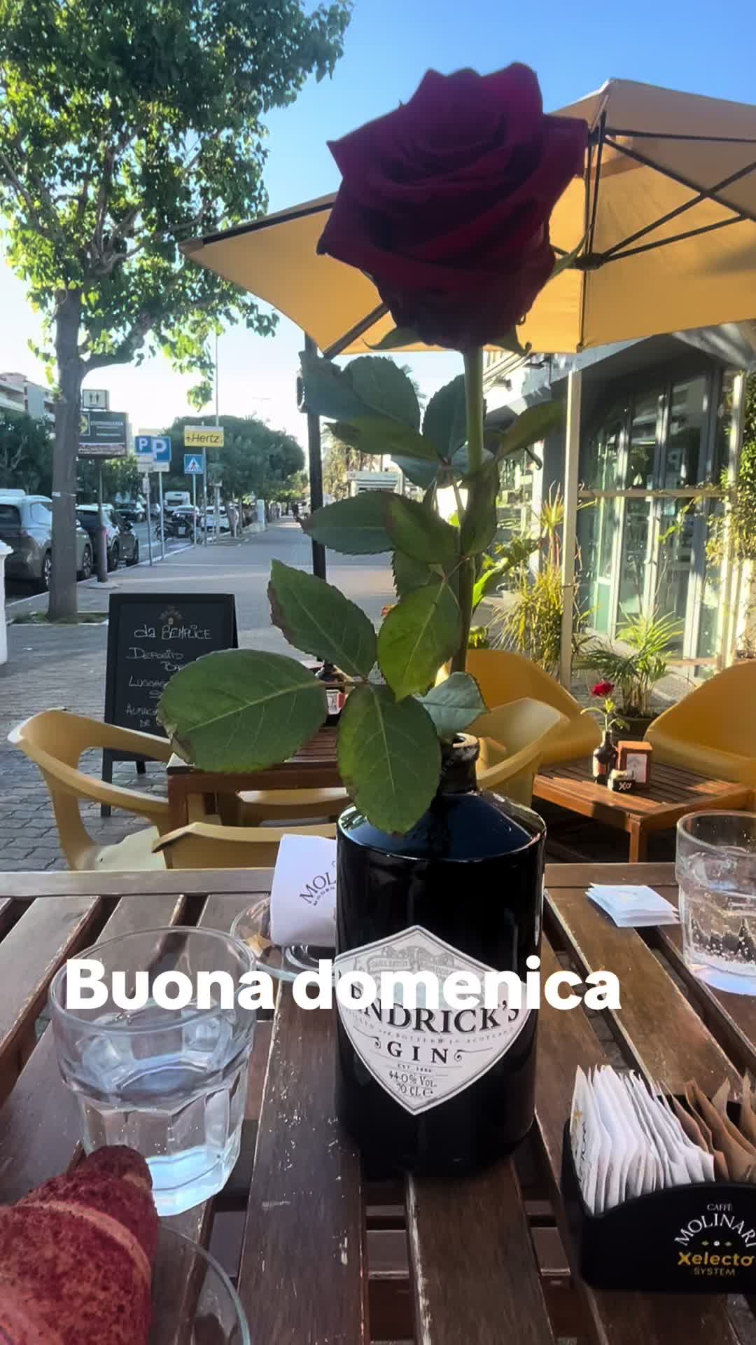 @Luna chiena
