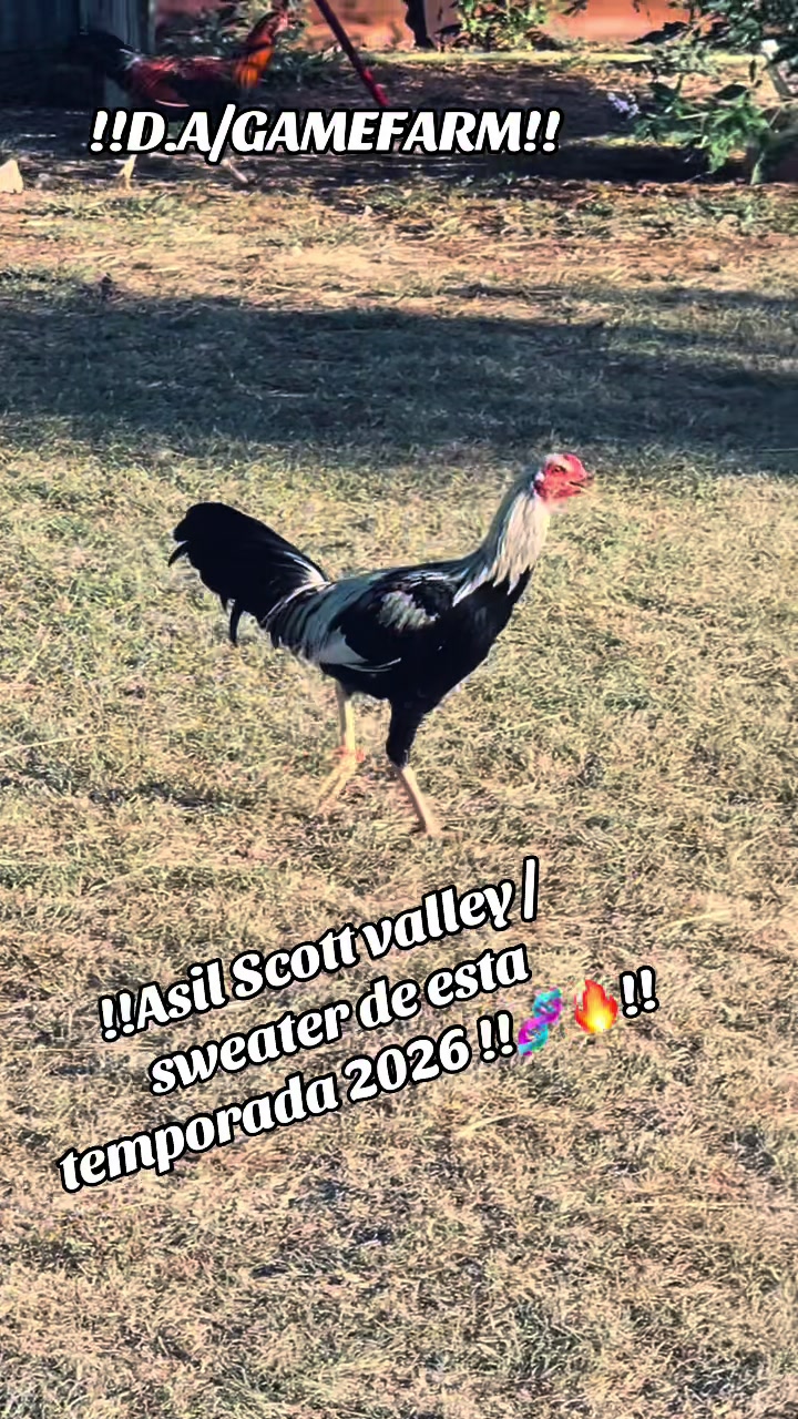 @DAgamefarm