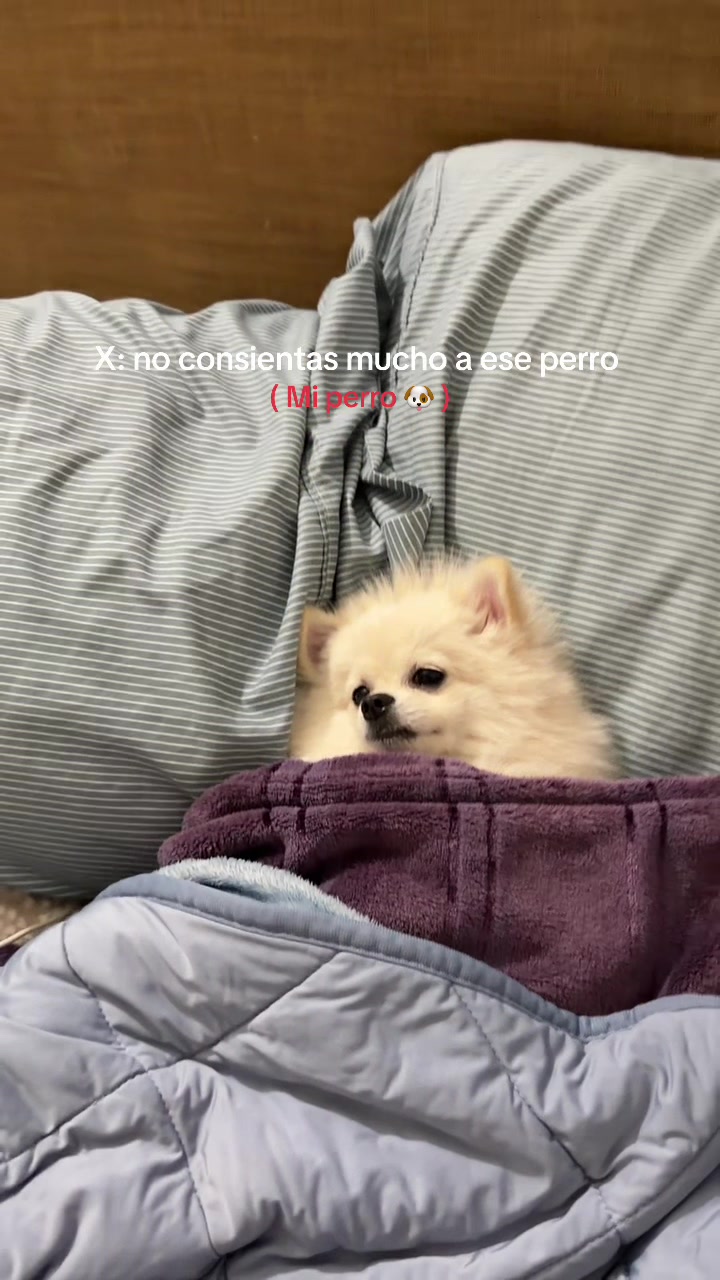 @No.soy.una.kardashian