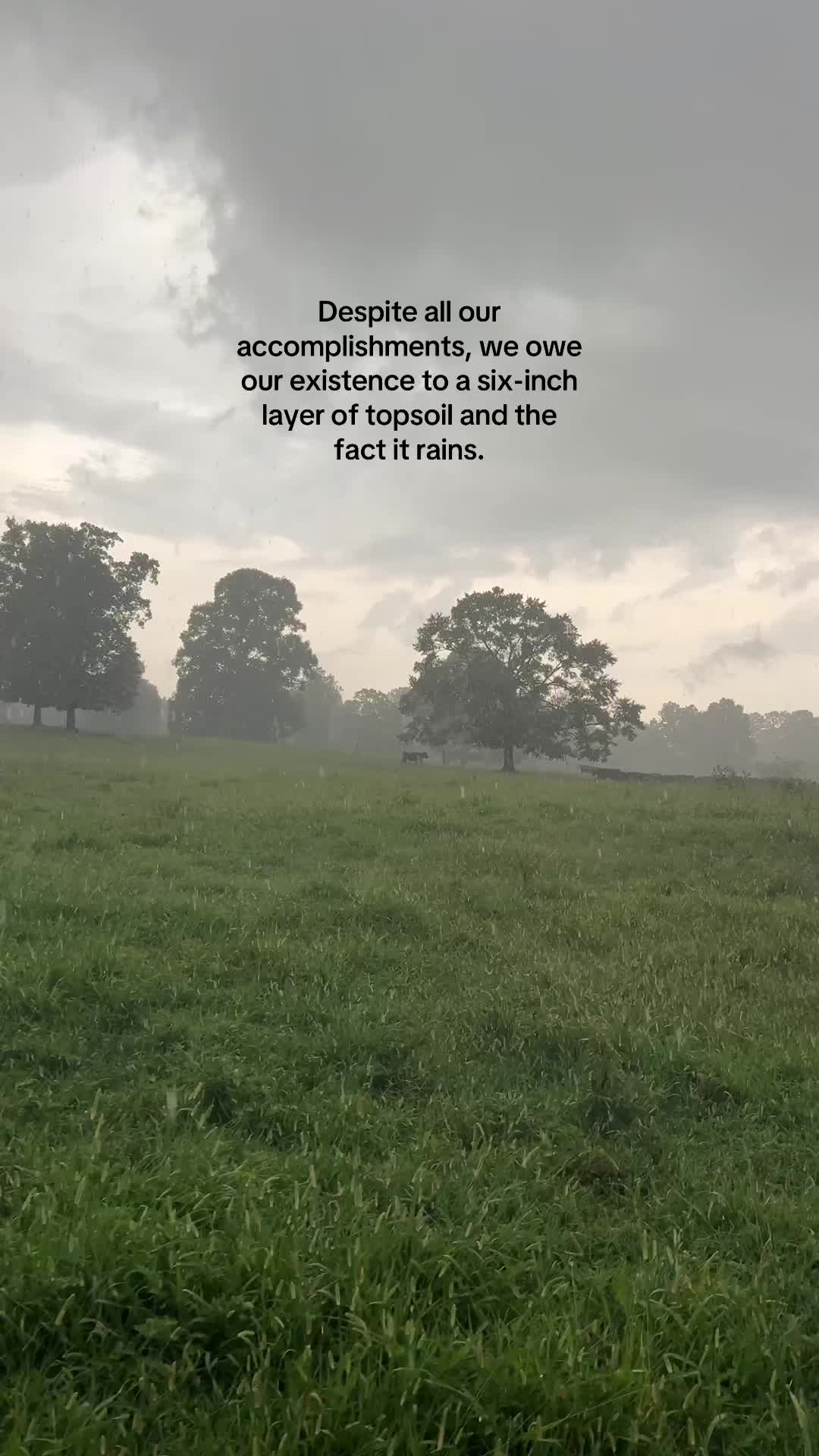@Lily Hill Farm