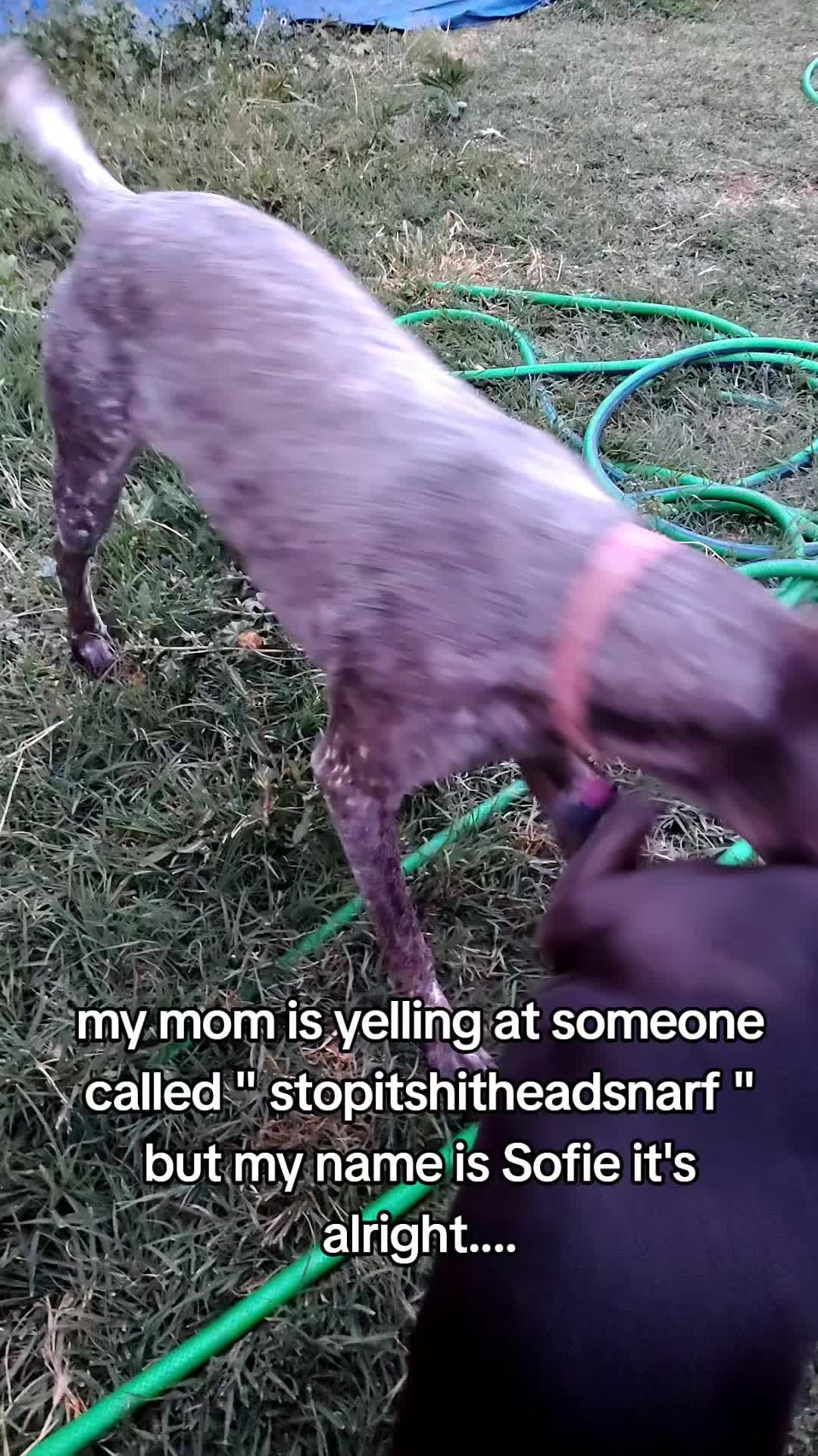 @Sav