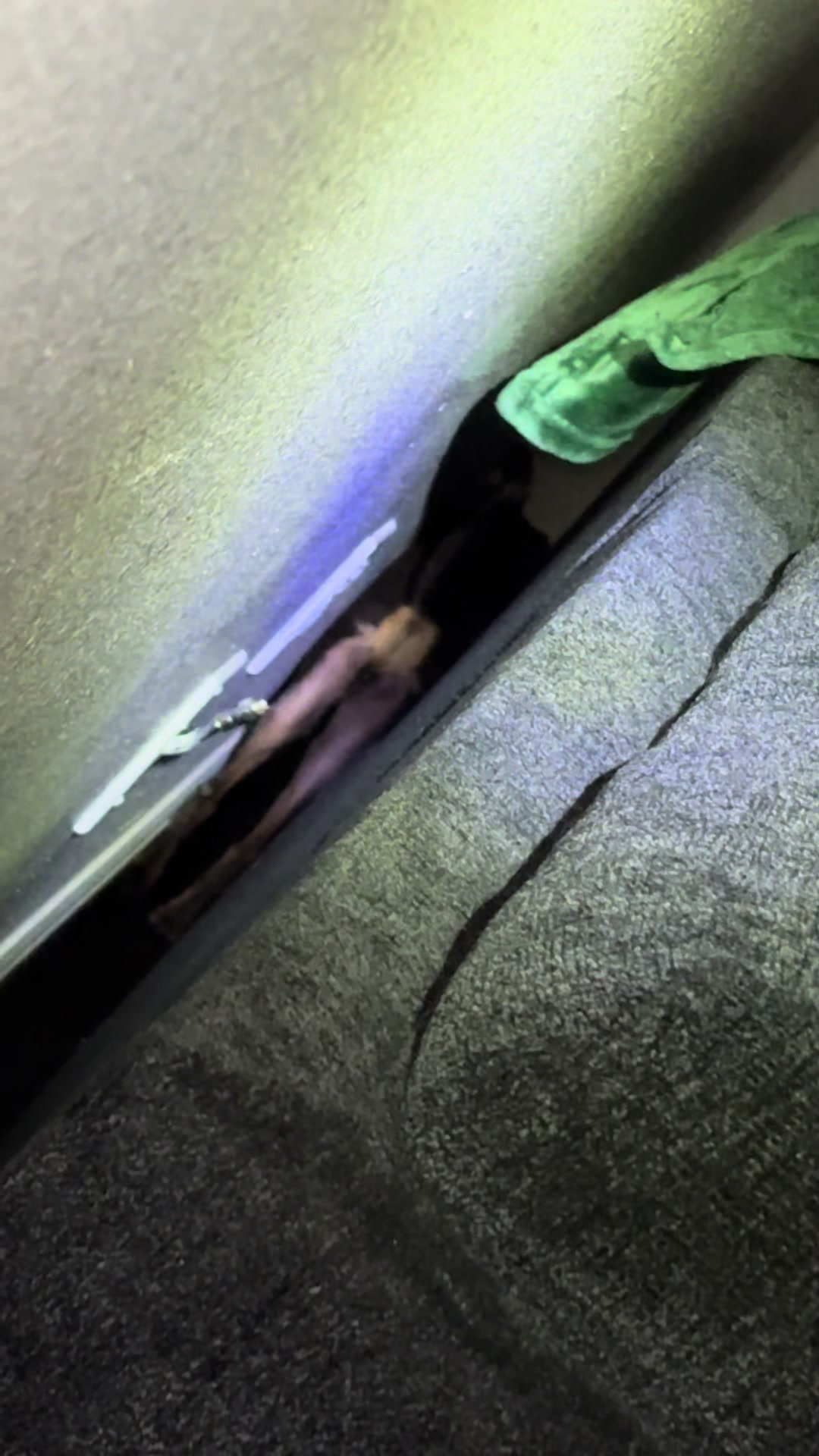 @anaaa